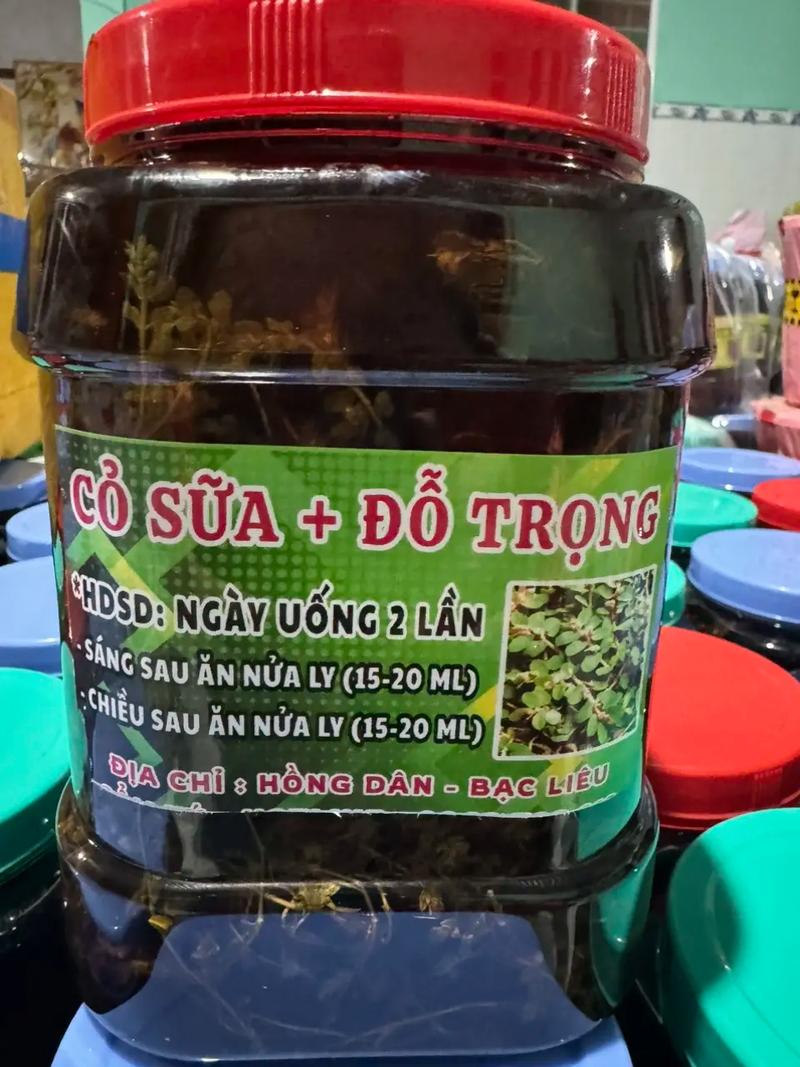 xổ số